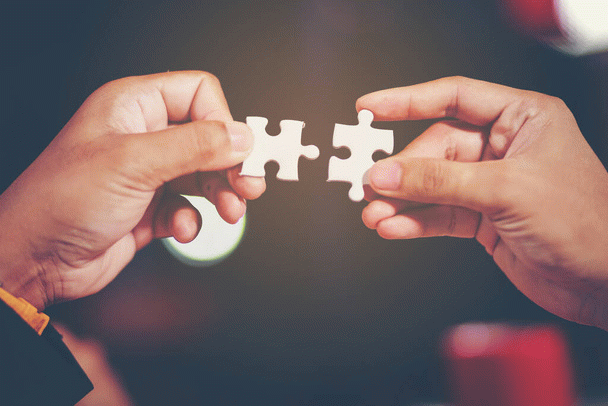 چرا نباید گربه را کتک زد: 15 دلیل و اهمیت رفتارشناسی گربه‌ها